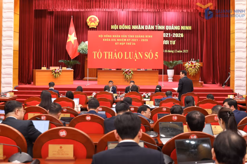Quang cảnh thảo luận tại Tổ thảo luận số 5.