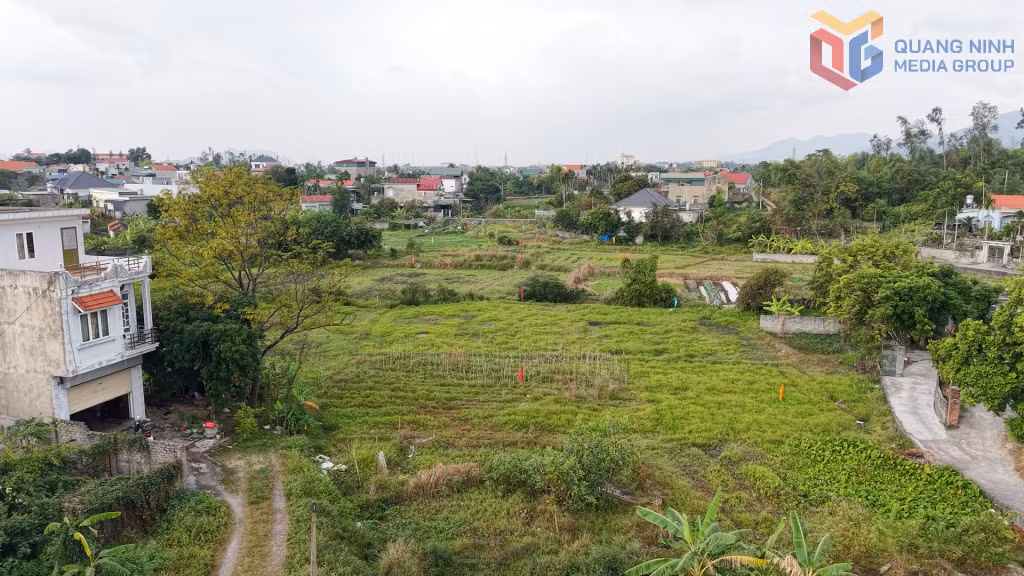 Mặt bằng triển khai Dự án đầu tư xây dựng đường QH11 (đoạn nối đường Yên Trung - đường Yên Tử) có chiều dài 2,74km.