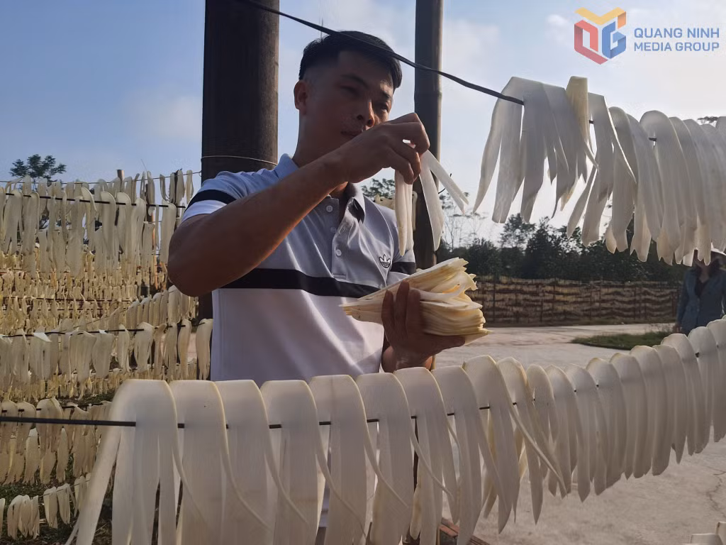 Củ cải xã Đầm Hà trở thành sản phẩm OCOP được người tiêu dùng ưa chuộng.