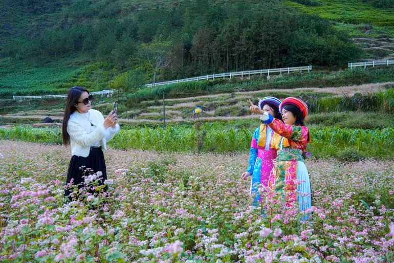Trong những năm qua, tỉnh Tuyên Quang khai thác hiệu quả các giá trị Cao nguyên đá Đồng Văn để phát triển du lịch.