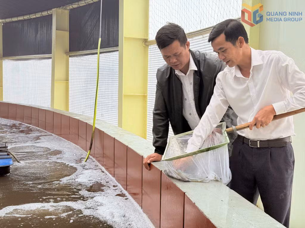 Cán bộ HND xã Hải Hòa (phải) trao đổi với hội viên, nông dân về phát triển mô hình nuôi tôm công nghệ cao.