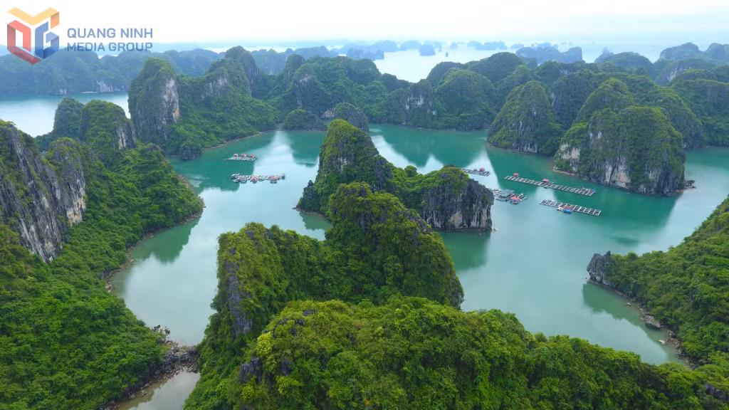 Vịnh Hạ Long được UNESCO vinh danh là di sản thế giới với giá trị nổi bật toàn cầu về thẩm mỹ và địa chất địa mạo.