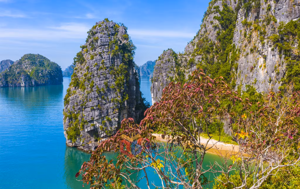 Lá đỏ soi bóng xuống mặt nước xanh biếc, hòa sắc cùng trời vịnh.