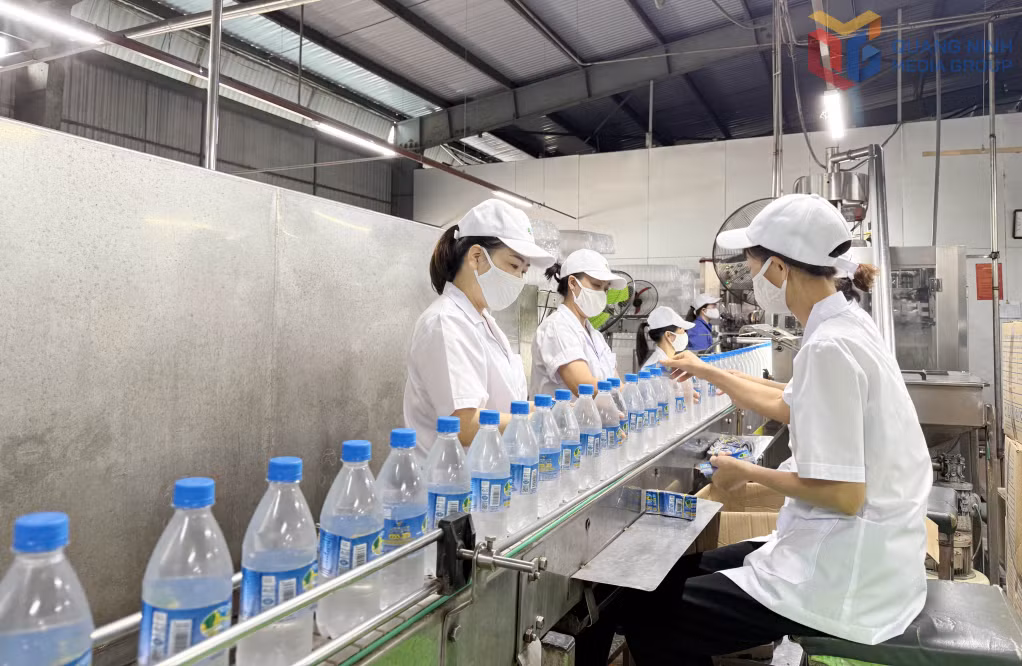 Công ty TNHH 1 thành viên nước khoáng Công đoàn Quang Hanh