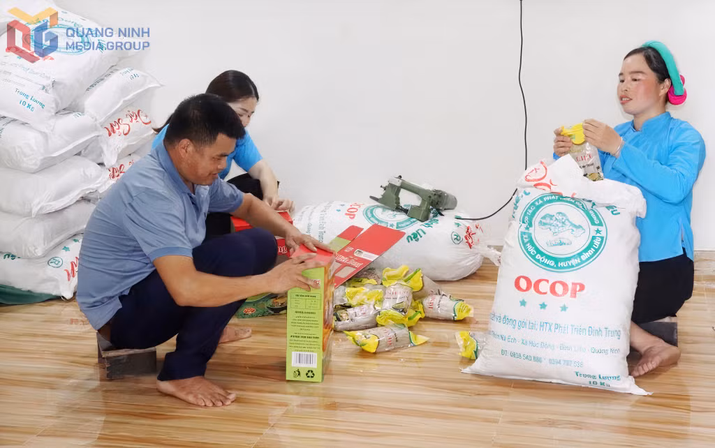 Anh La A Nồng cùng thành viên HTX Phát triển Đình Trung đóng gói các sản phẩm miến dong Bình Liêu.