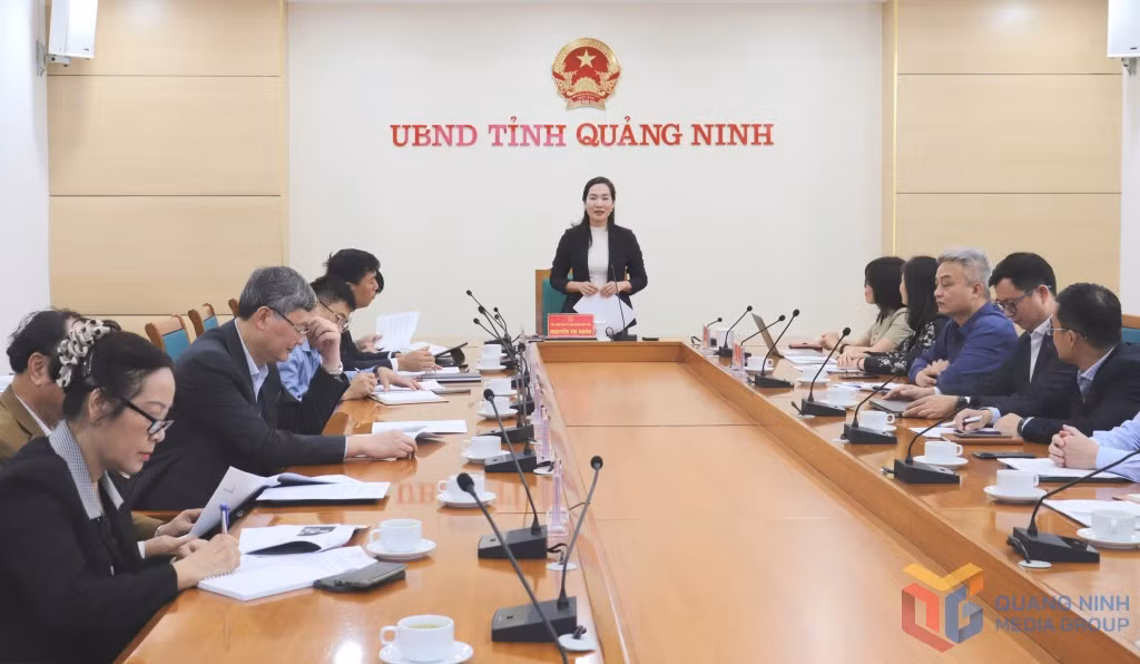 Đồng chí Nguyễn Thị Hạnh, Phó Chủ tịch UBND tỉnh, phát biểu tại cuộc làm việc.