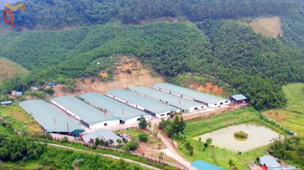 Khu trang trại công nghệ cao được đầu tư khép kín của gia đình ông Nguyễn Tôn Quyền.