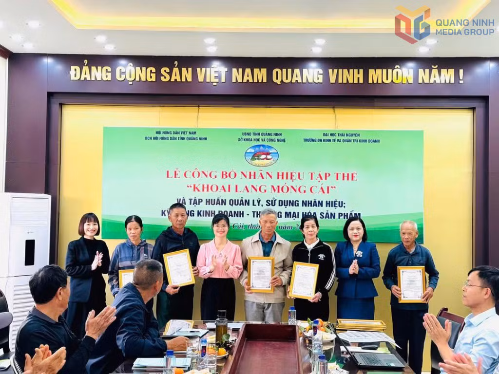 HND tỉnh Quảng Ninh phối hợp tổ chức tập huấn quản lý, sử dụng nhãn hiệu, kỹ năng kinh doanh và thương mại sản phẩm khoai lang Móng Cái cho hội viên, nông dân.