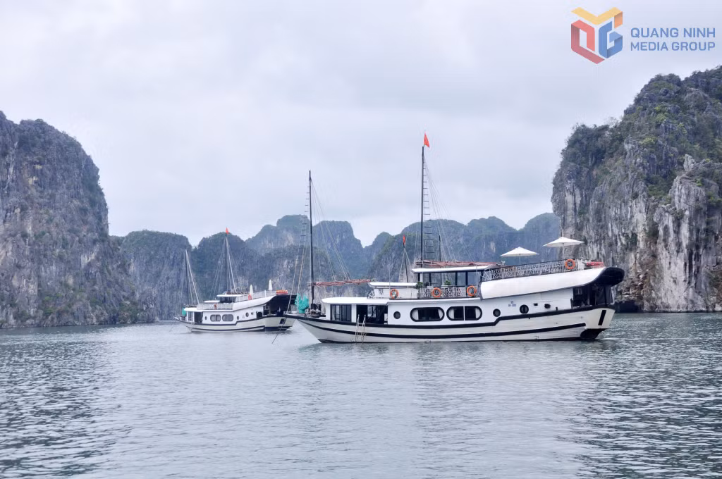 Du thuyền đưa khách lưu trú nghỉ đêm trên Vịnh Hạ Long.
