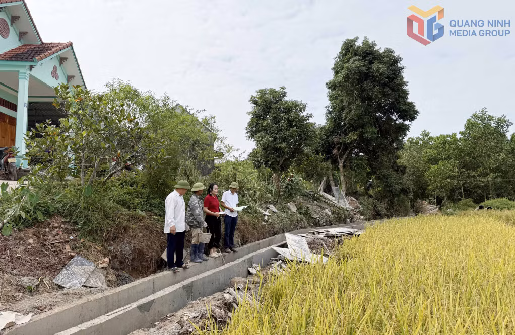Ban giám sát cộng đồng thôn Đông Dương giám sát quá trình thi công công trình tuyến mương nội đồng thôn Đông Dương, xã Đông Ngũ (tháng 11/2025).
