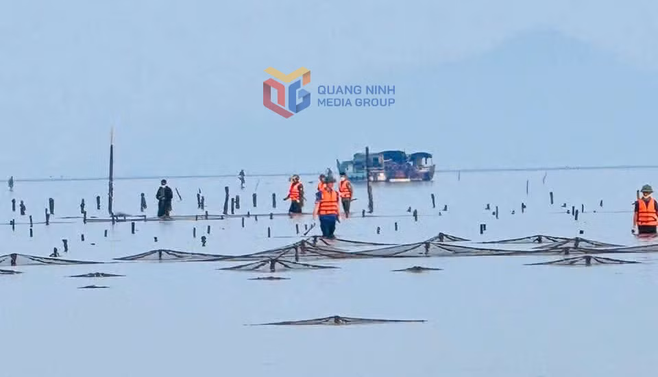 Hàng chục ha nuôi trồng thuỷ sản trái phép bị tháo dỡ trong ngày 9/12.