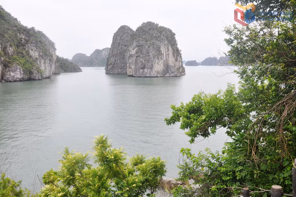 Từ hang Cỏ nhìn ra một vùng vịnh có cảnh quan thơ mộng.
