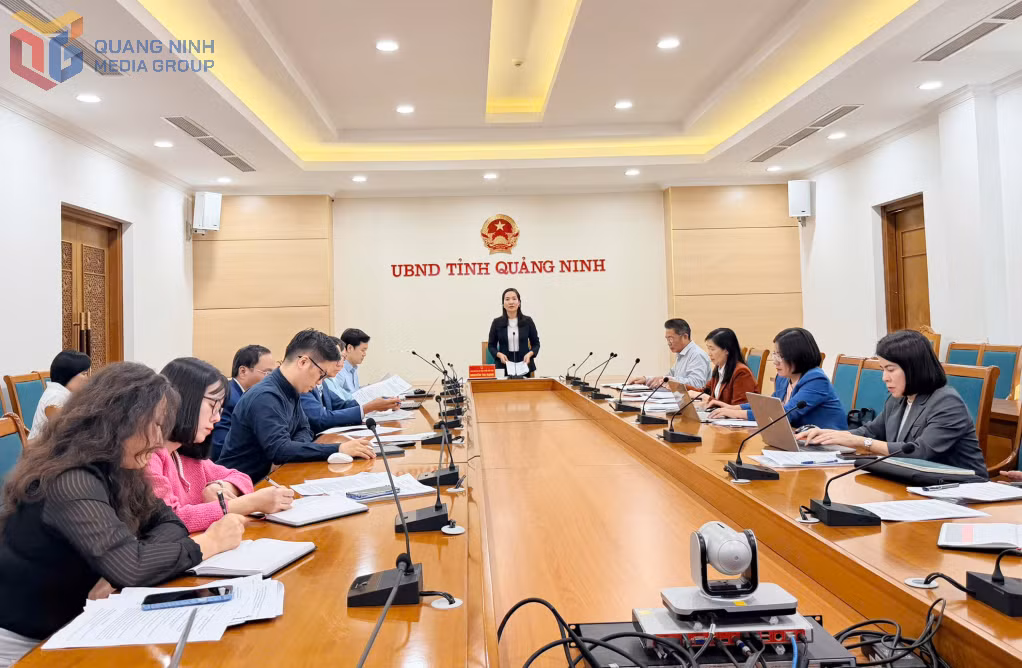 Đồng chí Nguyễn Thị Hạnh, Phó Chủ tịch UBND tỉnh phát biểu tại cuộc họp.