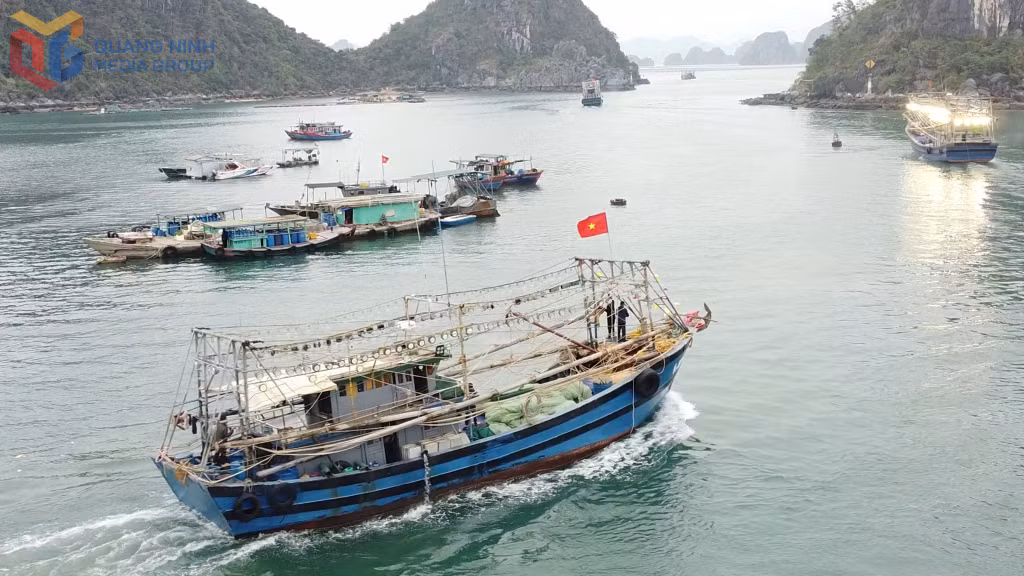 Tỉnh Quảng Ninh đã tổ chức làm sạch dữ liệu tàu cá và đã cập nhật dữ liệu thông tin 100% chủ tàu cá lên hệ thông Vnfishbase và VneID.