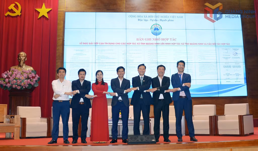 Liên minh HTX tỉnh đã ký kết bản ghi nhớ hợp tác về thúc đẩy tiếp cận tín dụng cho các HTX tỉnh Quảng Ninh với các đối tác hợp tác