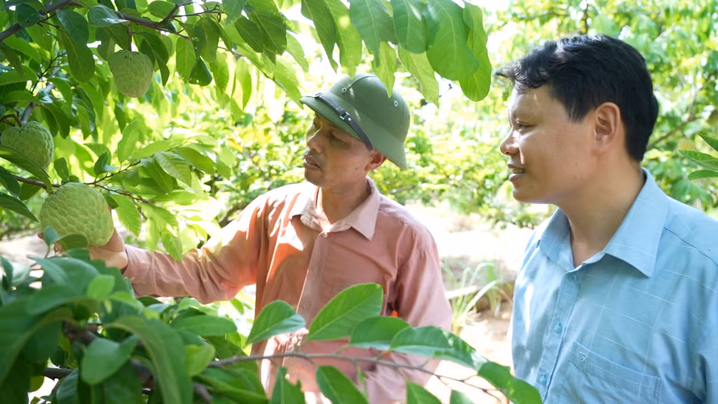 Chương trình OCOP của Quảng Ninh trở thành điển hình và được Chính phủ quyết định nhân rộng ra toàn quốc. Ảnh: Minh Yến