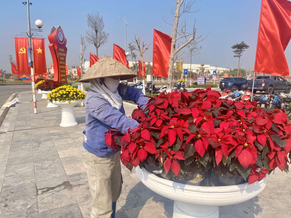 Ly, kỷ đặt hoa tại các khu vực trung tâm được sơn, trồng hoa mới rực rỡ, bắt mắt.