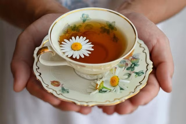 Uống trà hoa cúc giúp giảm lo âu, căng thẳng, lấy lại tinh thần nhanh chóng.