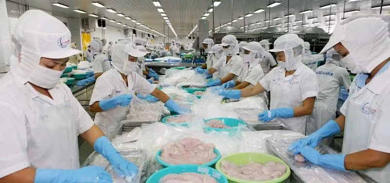 Các doanh nghiệp xuất khẩu của Việt Nam cần sớm thực hiện chuyển đổi xanh trong sản xuất nhằm đáp ứng EGD của EU.