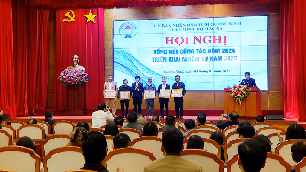 BCH Liên minh Hợp tác xã tỉnh tặng giấy khen cho các cá nhân, tập thể có thành tích xuất sắc trong phong trào sản xuất kinh doanh, phát triển kinh tế tập thể năm 2024.