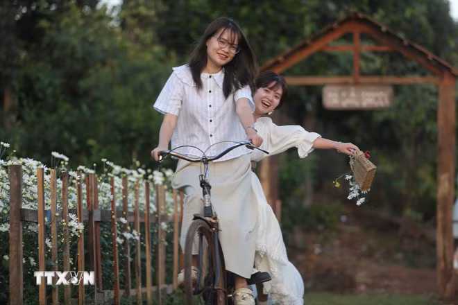 (Ảnh: Hồng Điệp/TTXVN)