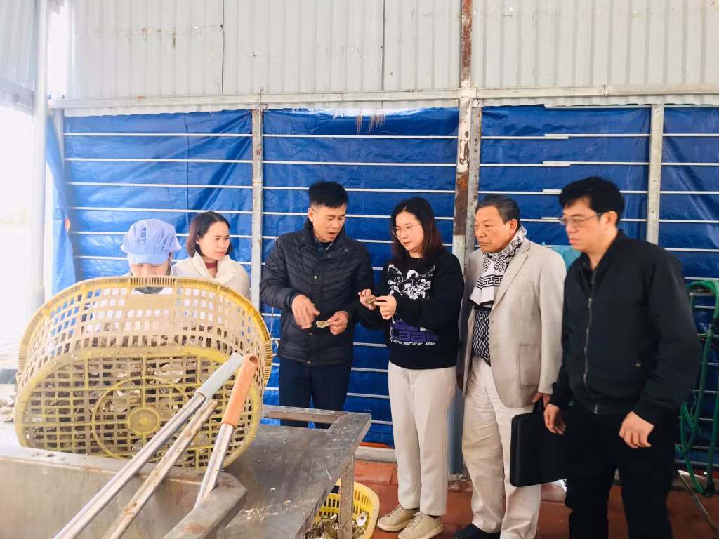 Đoàn kiểm tra liên ngành ATTP số 2 kiểm tra cơ sở chế biến thủy sản trên địa bàn huyện Vân Đồn.