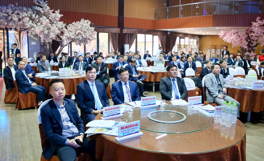 Các đại biểu tham dự hội nghị.