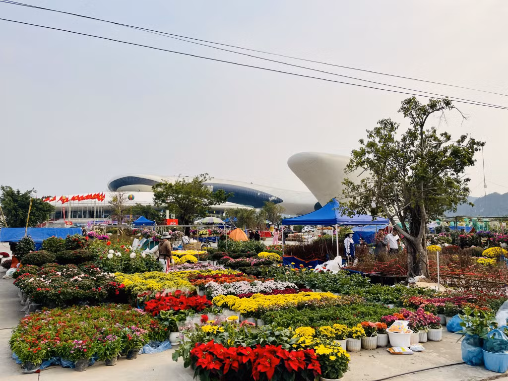 Hội chợ hoa Hạ Long tại sân triển lãm ngoài trời khu vực Cung Quy hoạch, Hội chợ triển lãm tỉnh, Quảng trường 30/10 (phường Hồng Hải) có quy mô lớn nhất trên địa bàn thành phố.