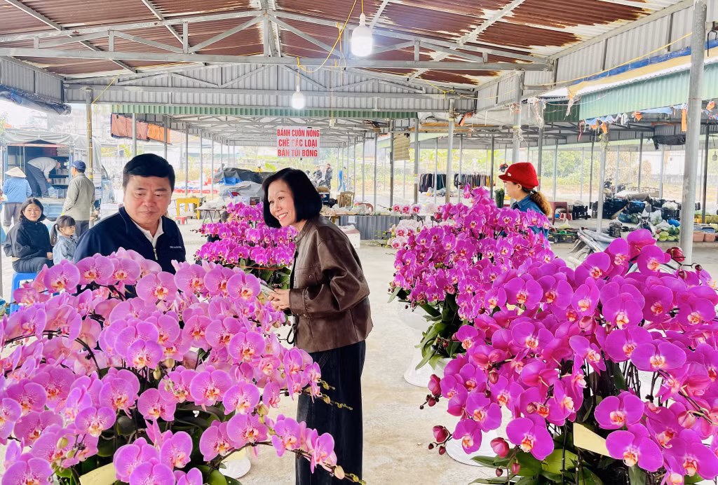 Người dân lựa chọn hoa lan tại chợ hoa xuân xã Lê Lợi.