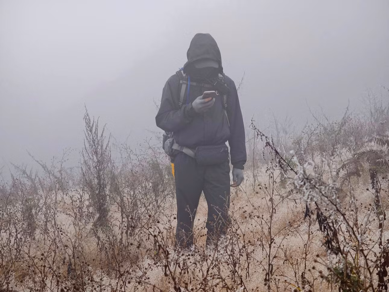 Du khách trekking Lảo Thần ngày 11/1. Ảnh: Nguyễn Trọng Cung