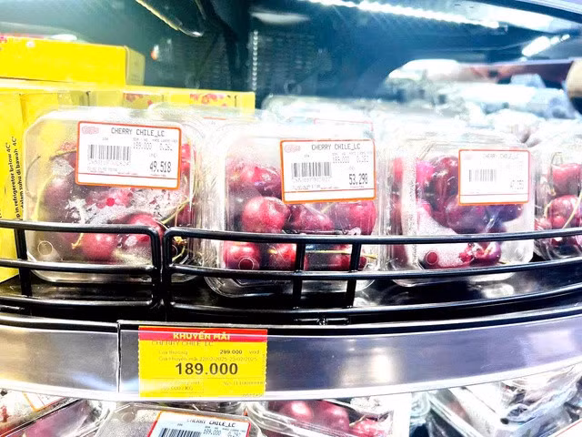 Cherry Chile tại một siêu thị ở Hà Nội cũng đang có giá rất tốt. Ảnh: Quỳnh Mai.