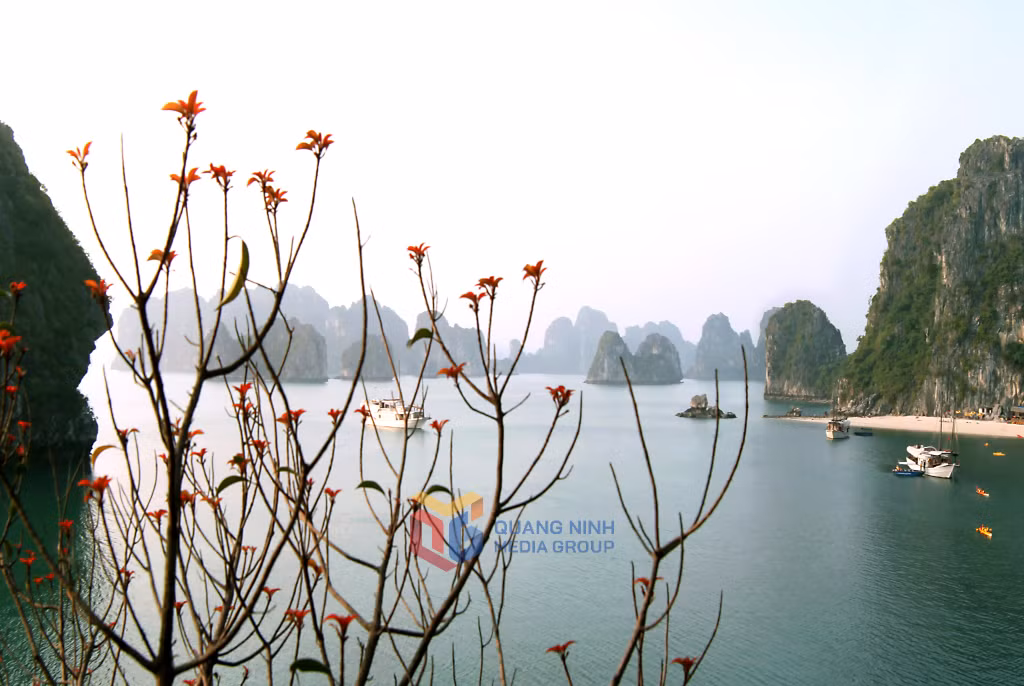 1 Lộc xuân