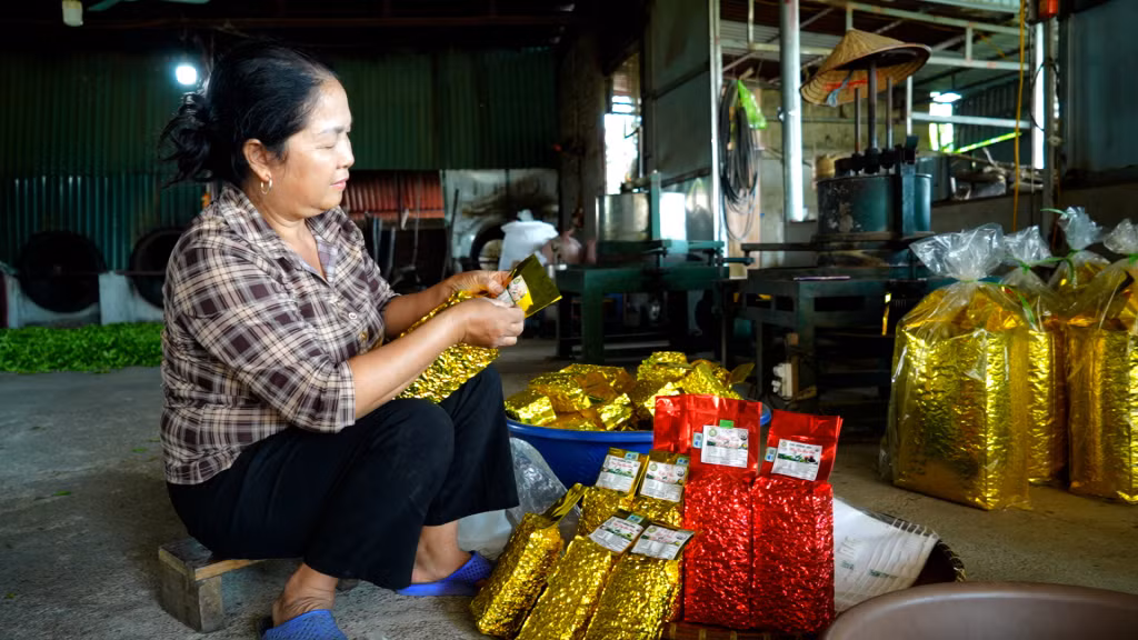 Tổ hợp tác chè Bính Loan (thôn 5, xã Quảng Thịnh, huyện Hải Hà) nâng cao sức cạnh tranh của sản phẩm nhờ đẩy mạnh chuyển đổi số