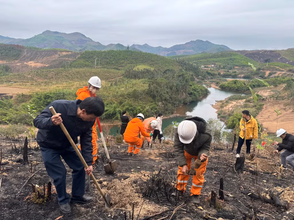 Người lao động trên địa bàn huyện Ba Chẽ tham gia trồng cây.