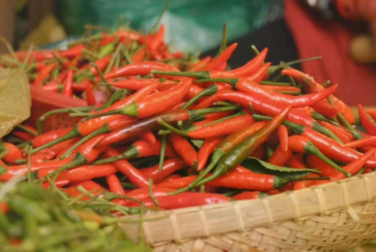 Ớt là sản phẩm bị cảnh báo nhiều nhất tại EU. Ảnh minh họa