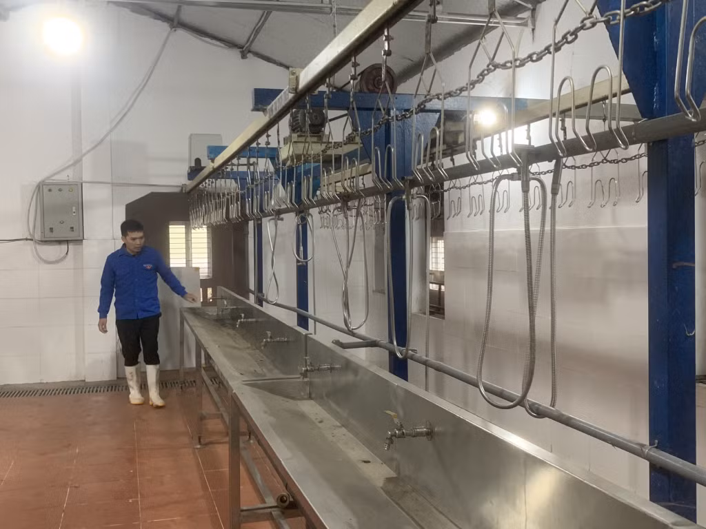 Anh Trần Đăng Hạnh đang tiến hành kiểm tra hệ thống làm gà và hút chân không của HTX Chăn nuôi và Tiêu thụ gà Tiên Yên.