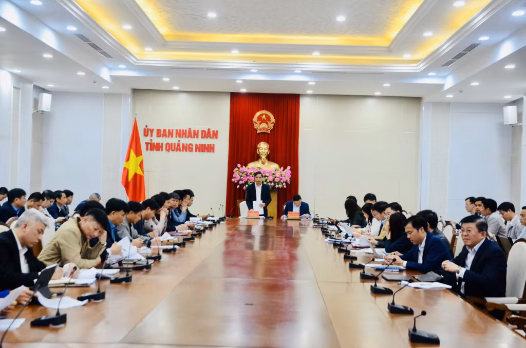 Đồng chí Vũ Văn Diện, Phó Chủ tịch Thường trực UBND tỉnh, phát biểu chỉ đạo tại buổi làm việc.