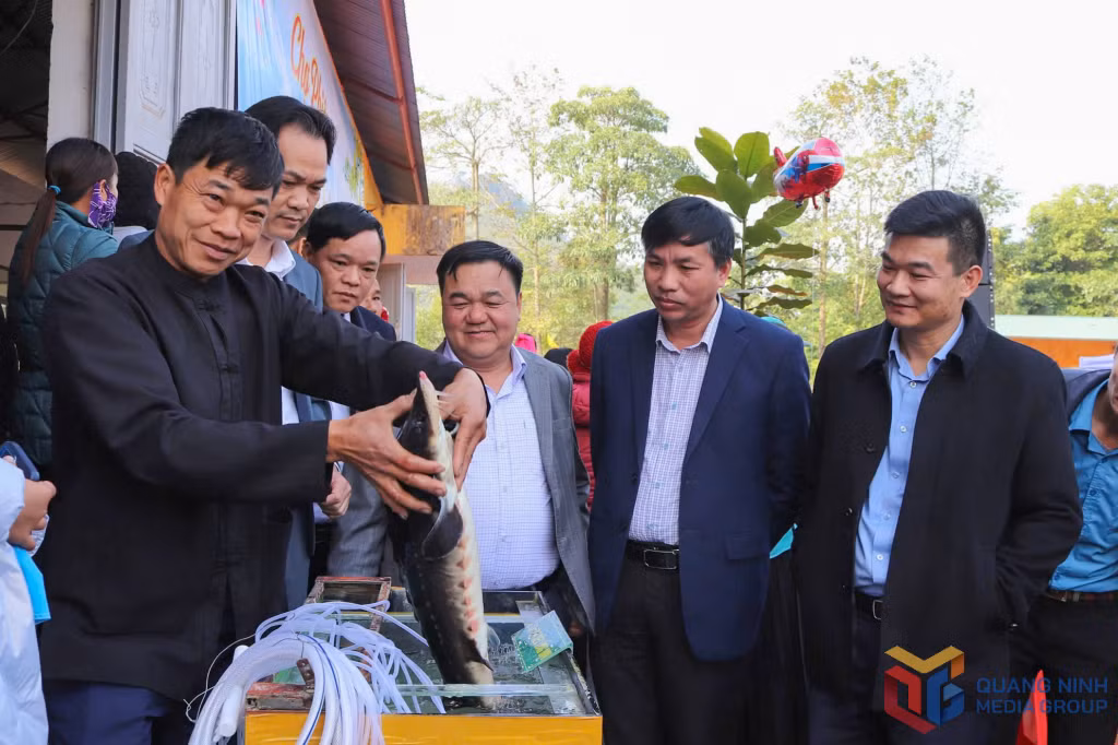 Cá tầm tươi sống được bày bán tại chợ phiên Quảng Lâm (tháng 1/2025).