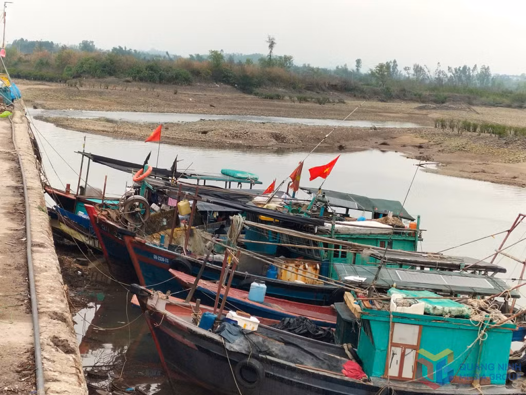 Tàu thuyền muốn ra khơi phải chờ thủy triều lên mới ra được.