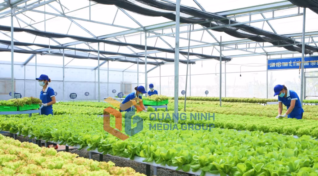 Sản xuất tại Công ty CP Đầu tư xây dựng và thương mại 188 (2-2021). Ảnh: Nguyễn Thanh
