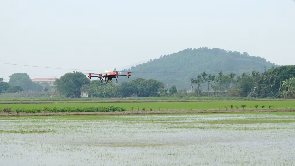 Công ty CP Giống cây trồng Quảng Ninh sử dụng thiết bị bay không người lái để phun thuốc trừ sâu