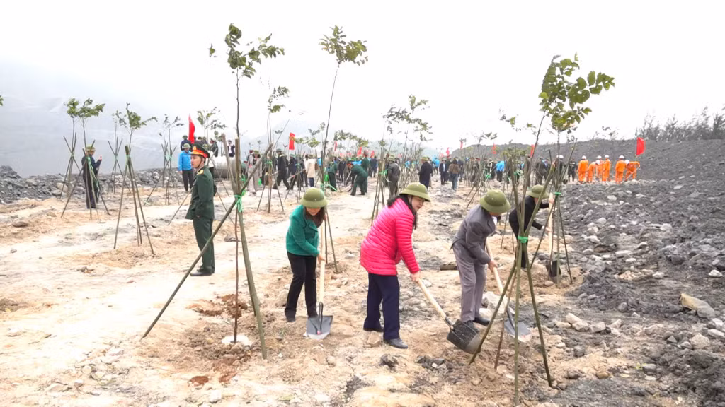 CBCCVC, người lao động TP Cẩm Phả tham gia Tết trồng cây năm 2024. Ảnh: Thuỳ Dung (CTV)
