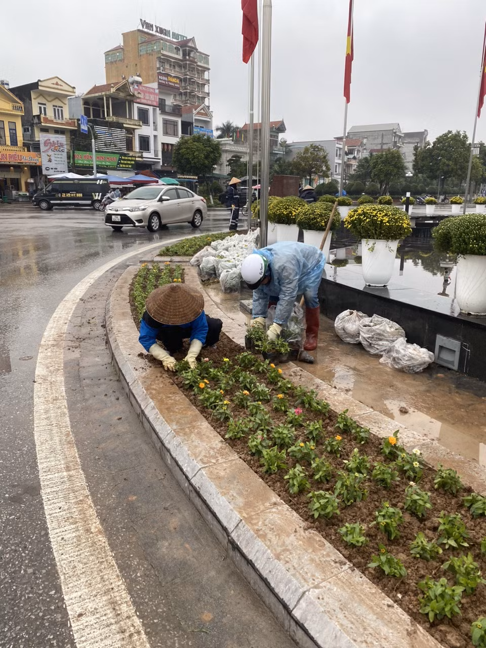 Công nhân Công ty Cổ phần Môi trường và Công trình đô thị Móng Cái trồng hoa khu vực vòng xuyến trung tâm TP Móng Cái