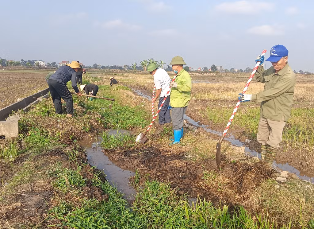 Nông dân TX Quảng Yên dọn vệ sinh đồng ruộng. Ảnh: HND TX Quảng Yên cung cấp.