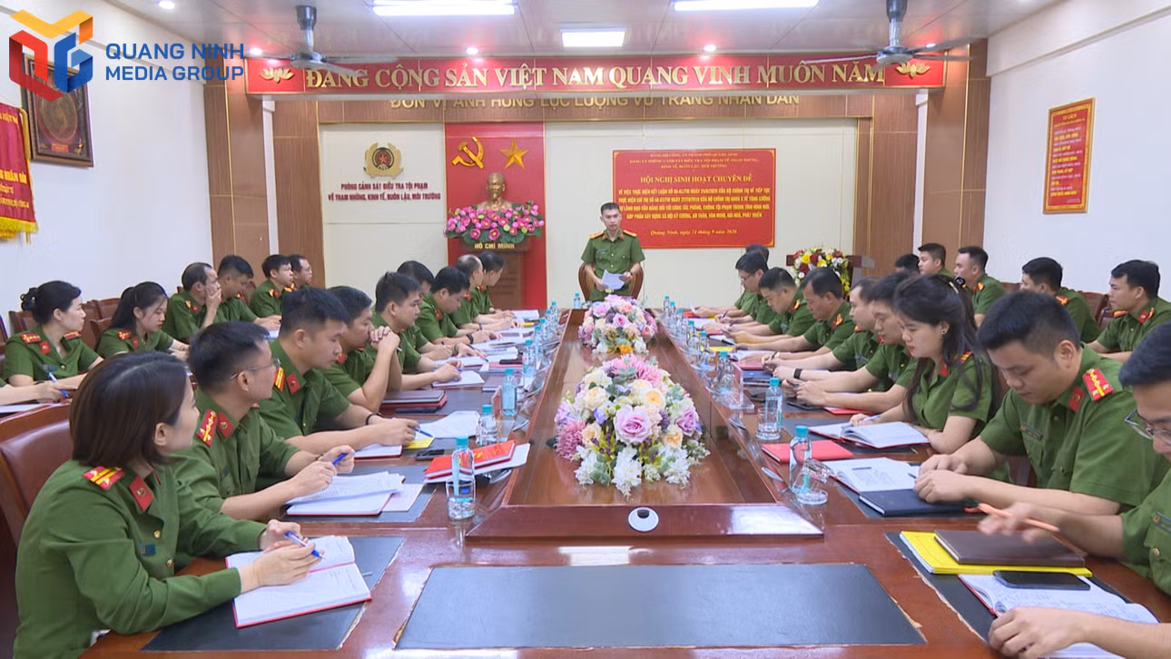bqn_tl_pc03-hoc-nq.jpg