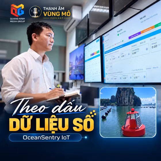 Thanh âm Vùng mỏ: Theo dấu dữ liệu số
