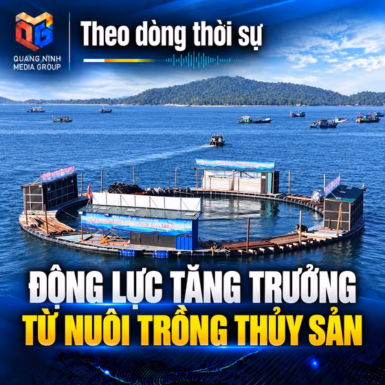 Theo dòng thời sự 21/10/2026: Động lực tăng trưởng từ nuôi trồng thủy sản