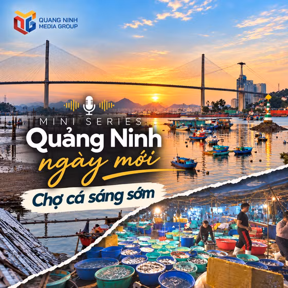 Mini series Quảng Ninh ngày mới: Chợ cá sáng sớm