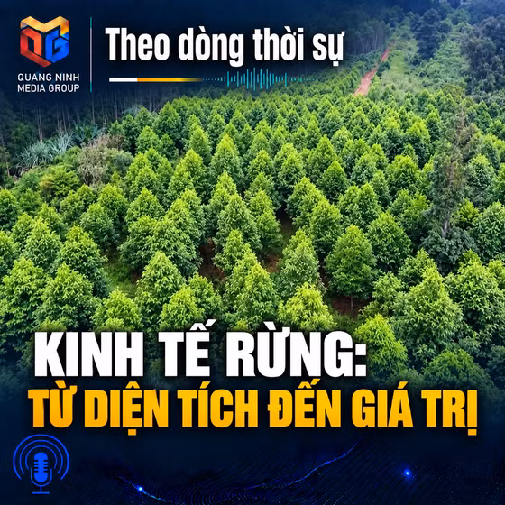 Theo dòng thời sự ngày 09/9/2026: Kinh tế rừng: từ diện tích đến giá trị