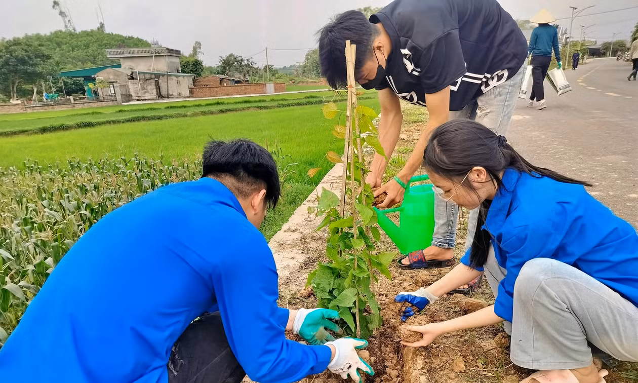 Đoàn thanh niên xã Quảng Tân tham gia trồng tuyến đường hoa tại cảnh quan xanh - sạch - đẹp.